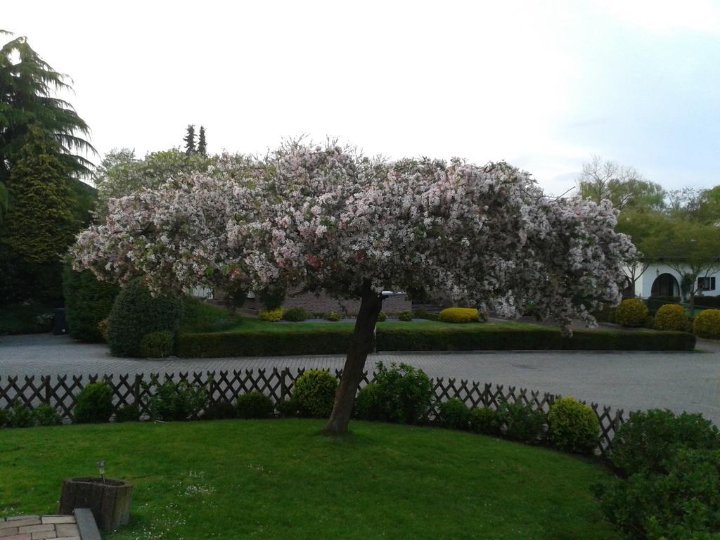 Bed and breakfast Rene's Kerkrade